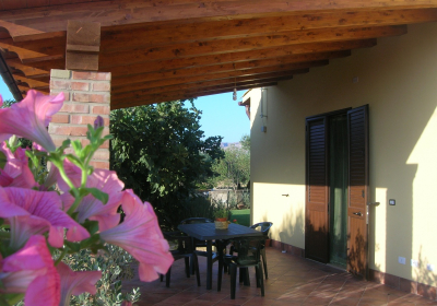 Casa Vacanze Appartamento Bilocale Le Antiche Macine Immerso Fra Ulivi